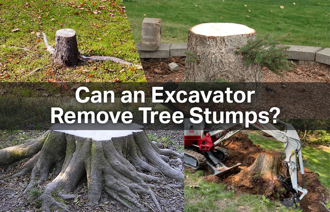 Can a digger remove tree stumps?