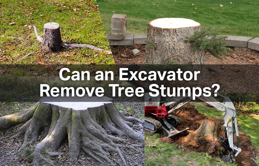 Can an Excavator remove tree stumps?